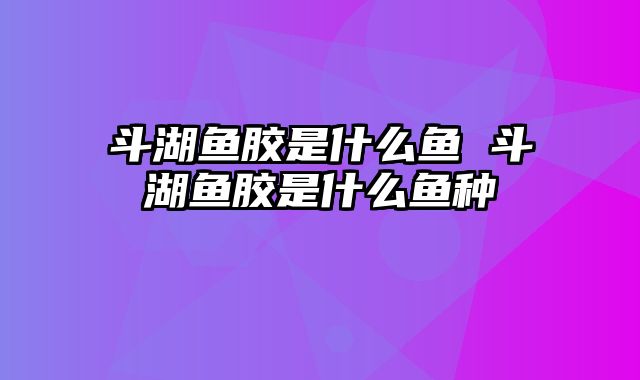 斗湖鱼胶是什么鱼 斗湖鱼胶是什么鱼种