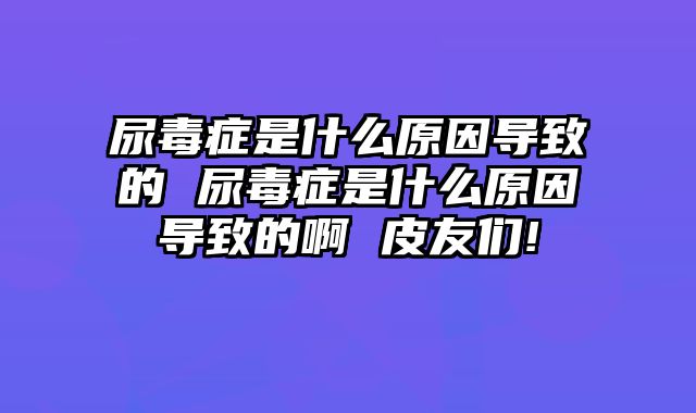 尿毒症是什么原因导致的 尿毒症是什么原因导致的啊 皮友们!