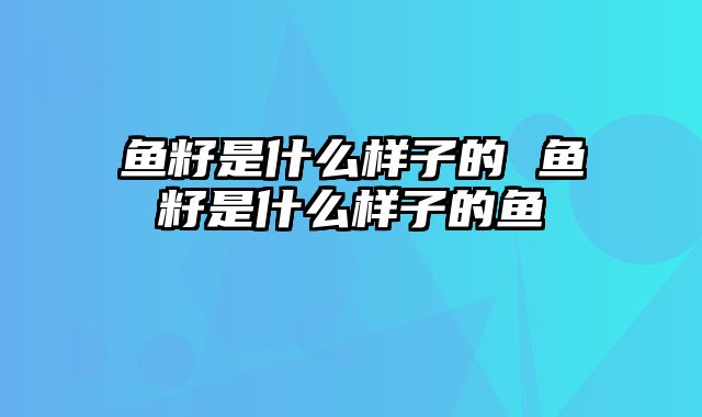 鱼籽是什么样子的 鱼籽是什么样子的鱼
