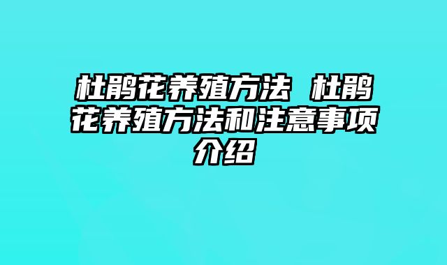 杜鹃花养殖方法 杜鹃花养殖方法和注意事项介绍