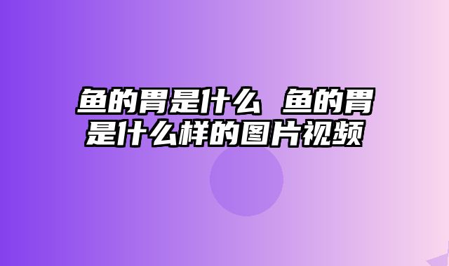 鱼的胃是什么 鱼的胃是什么样的图片视频