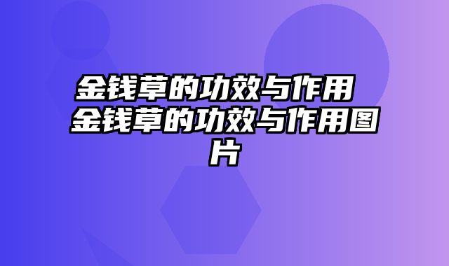 金钱草的功效与作用 金钱草的功效与作用图片