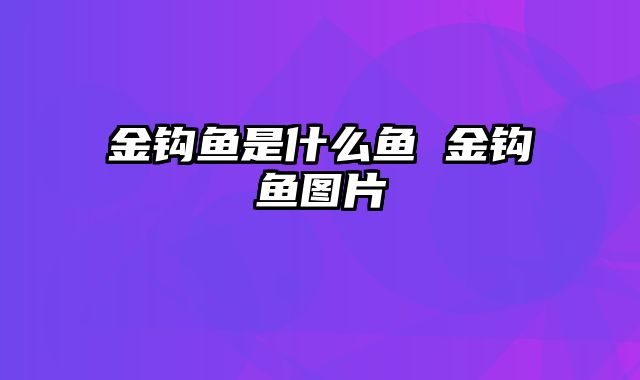 金钩鱼是什么鱼 金钩鱼图片