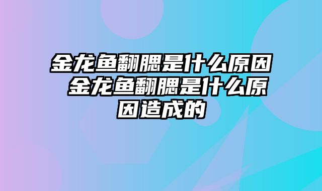 金龙鱼翻腮是什么原因 金龙鱼翻腮是什么原因造成的