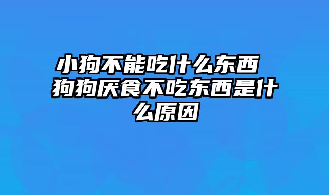 小狗不能吃什么东西 狗狗厌食不吃东西是什么原因