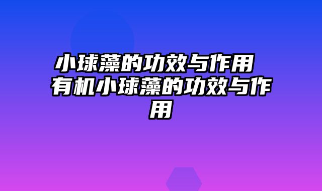 小球藻的功效与作用 有机小球藻的功效与作用