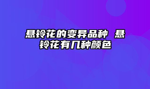 悬铃花的变异品种 悬铃花有几种颜色