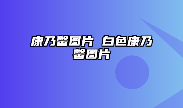 康乃馨图片 白色康乃馨图片