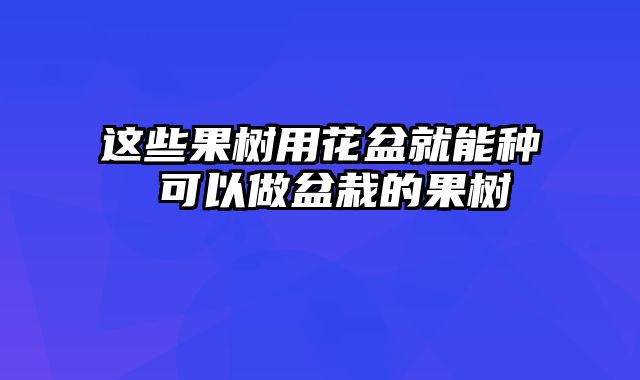 这些果树用花盆就能种 可以做盆栽的果树