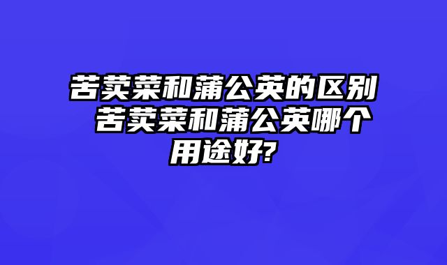 苦荬菜和蒲公英的区别 苦荬菜和蒲公英哪个用途好?
