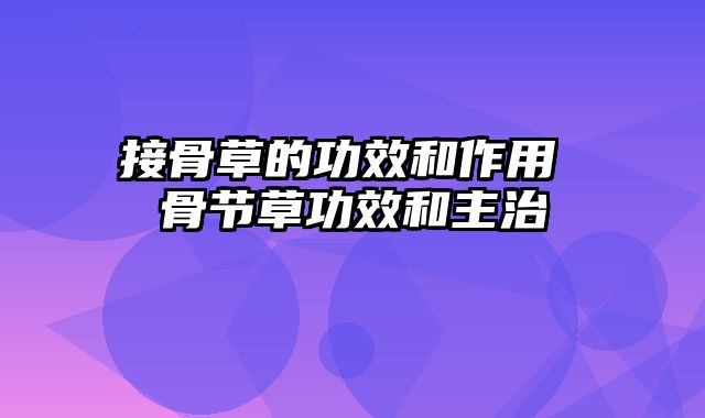 接骨草的功效和作用 骨节草功效和主治