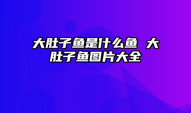 大肚子鱼是什么鱼 大肚子鱼图片大全