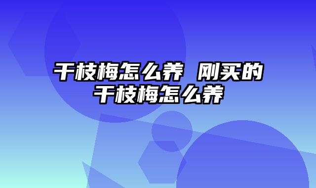 干枝梅怎么养 刚买的干枝梅怎么养
