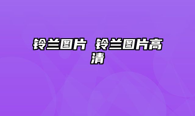 铃兰图片 铃兰图片高清