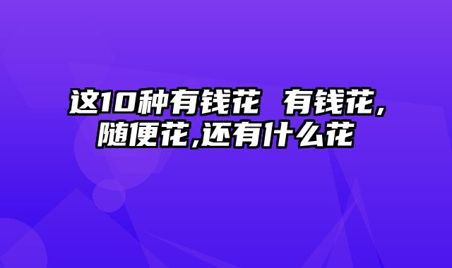这10种有钱花 有钱花,随便花,还有什么花