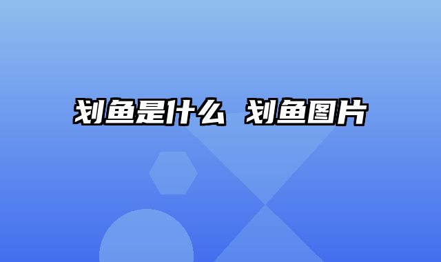 划鱼是什么 划鱼图片