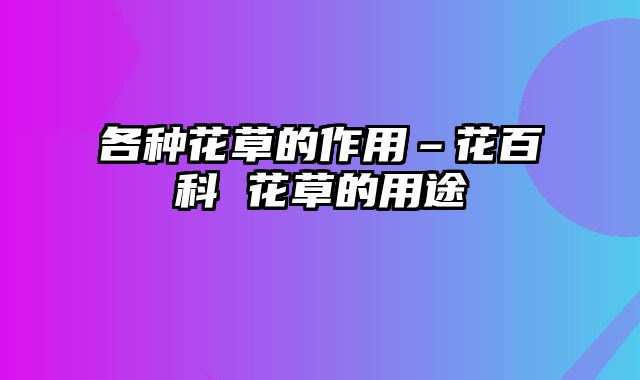 各种花草的作用–花百科 花草的用途