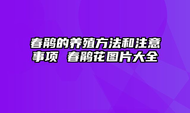 春鹃的养殖方法和注意事项 春鹃花图片大全