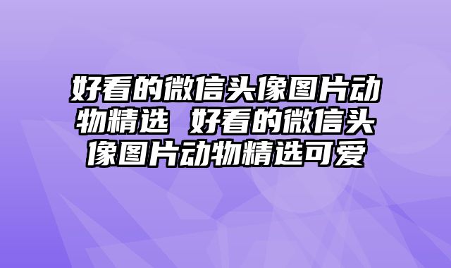 好看的微信头像图片动物精选 好看的微信头像图片动物精选可爱