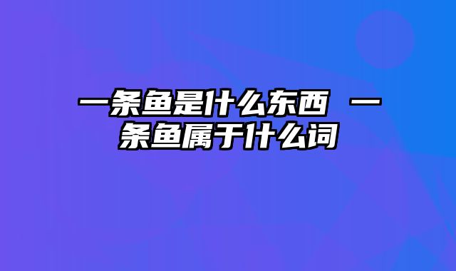 一条鱼是什么东西 一条鱼属于什么词