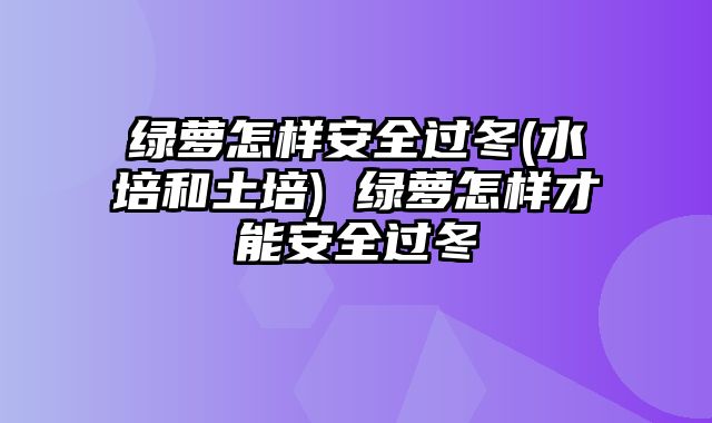 绿萝怎样安全过冬(水培和土培) 绿萝怎样才能安全过冬