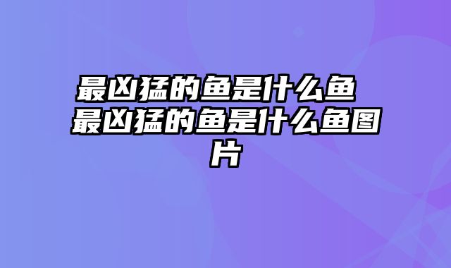 最凶猛的鱼是什么鱼 最凶猛的鱼是什么鱼图片