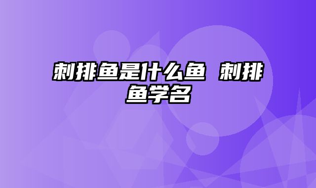 刺排鱼是什么鱼 刺排鱼学名