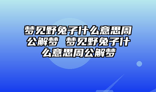 梦见野兔子什么意思周公解梦 梦见野兔子什么意思周公解梦