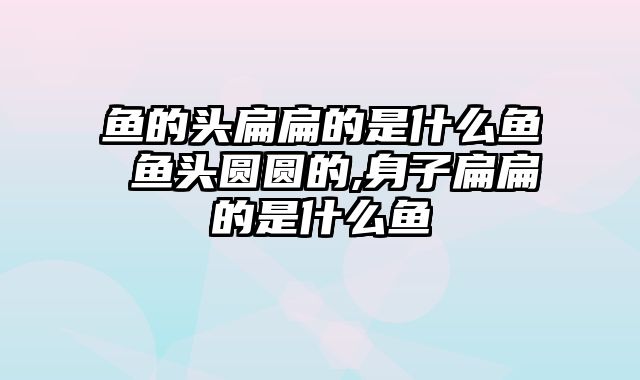鱼的头扁扁的是什么鱼 鱼头圆圆的,身子扁扁的是什么鱼
