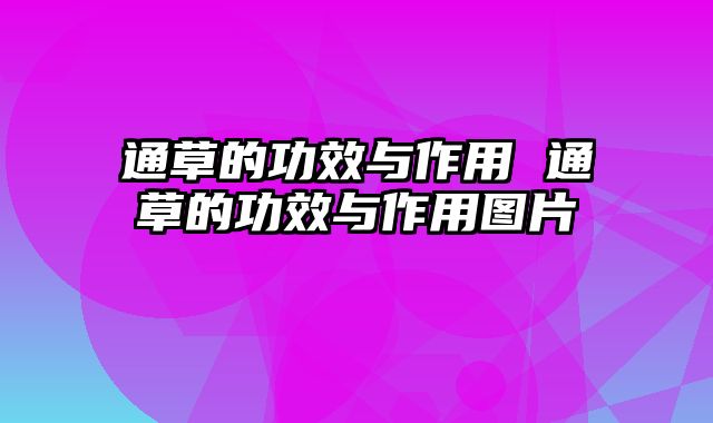 通草的功效与作用 通草的功效与作用图片