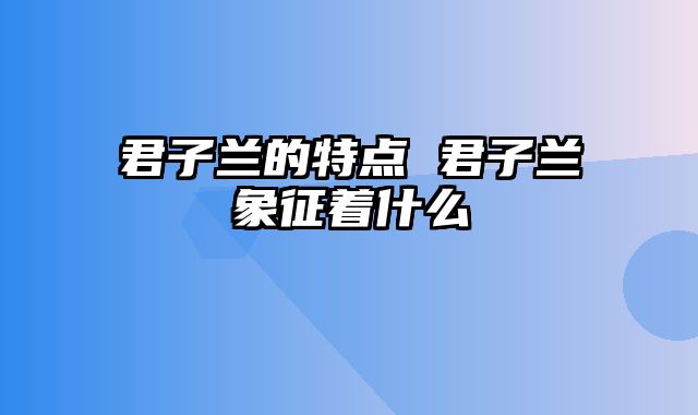 君子兰的特点 君子兰象征着什么