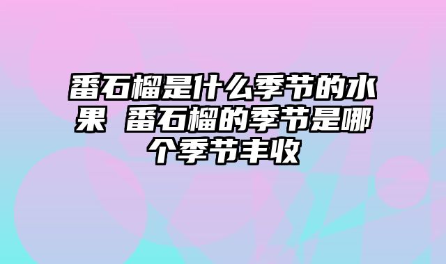 番石榴是什么季节的水果 番石榴的季节是哪个季节丰收