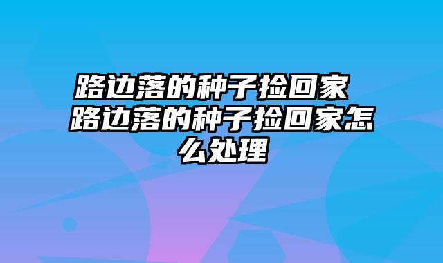 路边落的种子捡回家 路边落的种子捡回家怎么处理