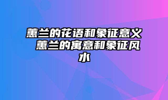 蕙兰的花语和象征意义 蕙兰的寓意和象征风水