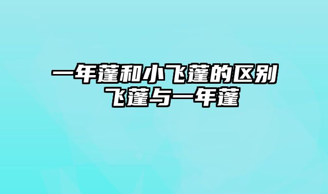 一年蓬和小飞蓬的区别 飞蓬与一年蓬