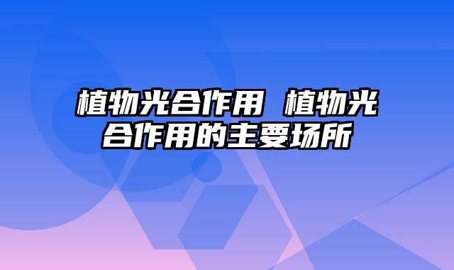 植物光合作用 植物光合作用的主要场所