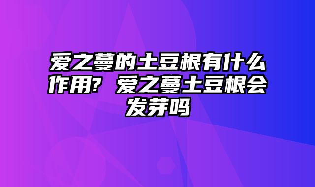 爱之蔓的土豆根有什么作用? 爱之蔓土豆根会发芽吗