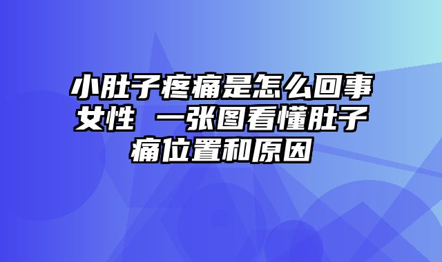 小肚子疼痛是怎么回事女性 一张图看懂肚子痛位置和原因