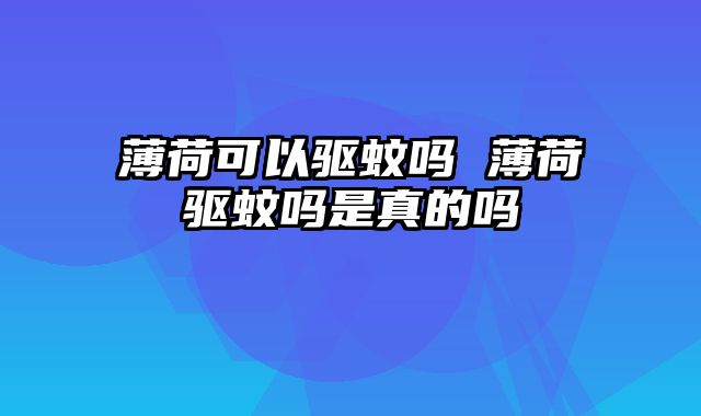 薄荷可以驱蚊吗 薄荷驱蚊吗是真的吗