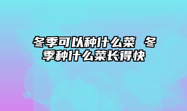 冬季可以种什么菜 冬季种什么菜长得快