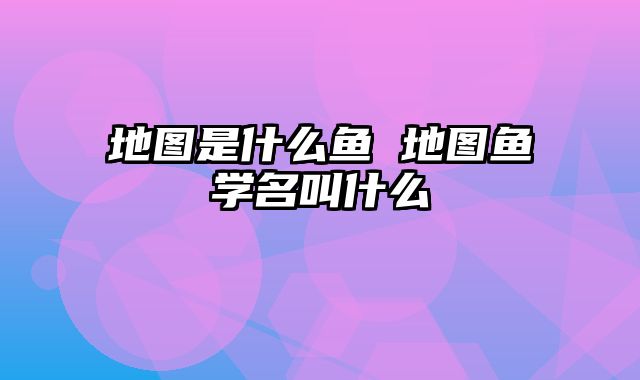 地图是什么鱼 地图鱼学名叫什么