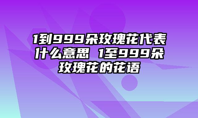 1到999朵玫瑰花代表什么意思 1至999朵玫瑰花的花语