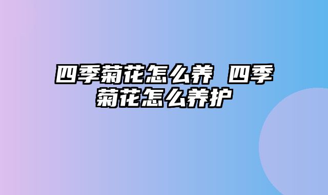 四季菊花怎么养 四季菊花怎么养护