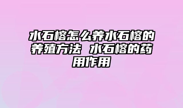 水石榕怎么养水石榕的养殖方法 水石榕的药用作用