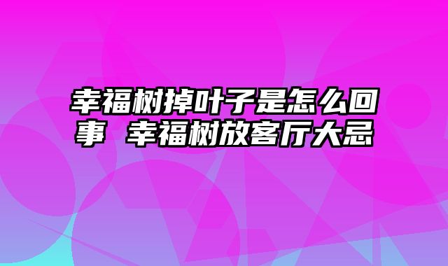 幸福树掉叶子是怎么回事 幸福树放客厅大忌