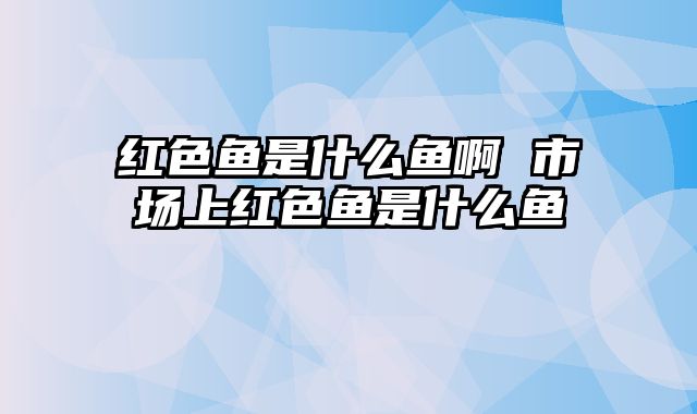 红色鱼是什么鱼啊 市场上红色鱼是什么鱼