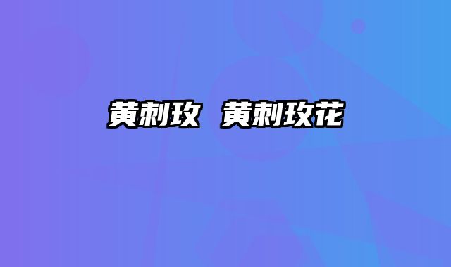 黄刺玫 黄刺玫花