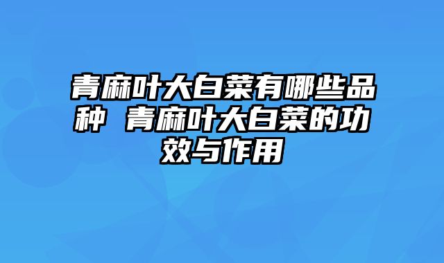青麻叶大白菜有哪些品种 青麻叶大白菜的功效与作用