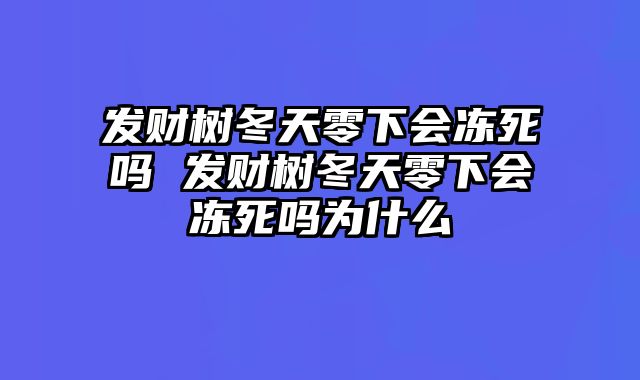 发财树冬天零下会冻死吗 发财树冬天零下会冻死吗为什么