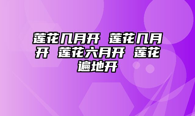 莲花几月开 莲花几月开 莲花六月开 莲花遍地开